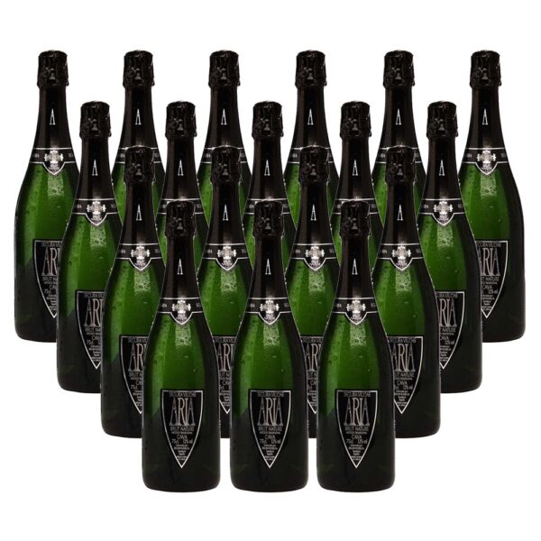 SEGURA VIUDAS ARIA NV BRUT NATURE 750